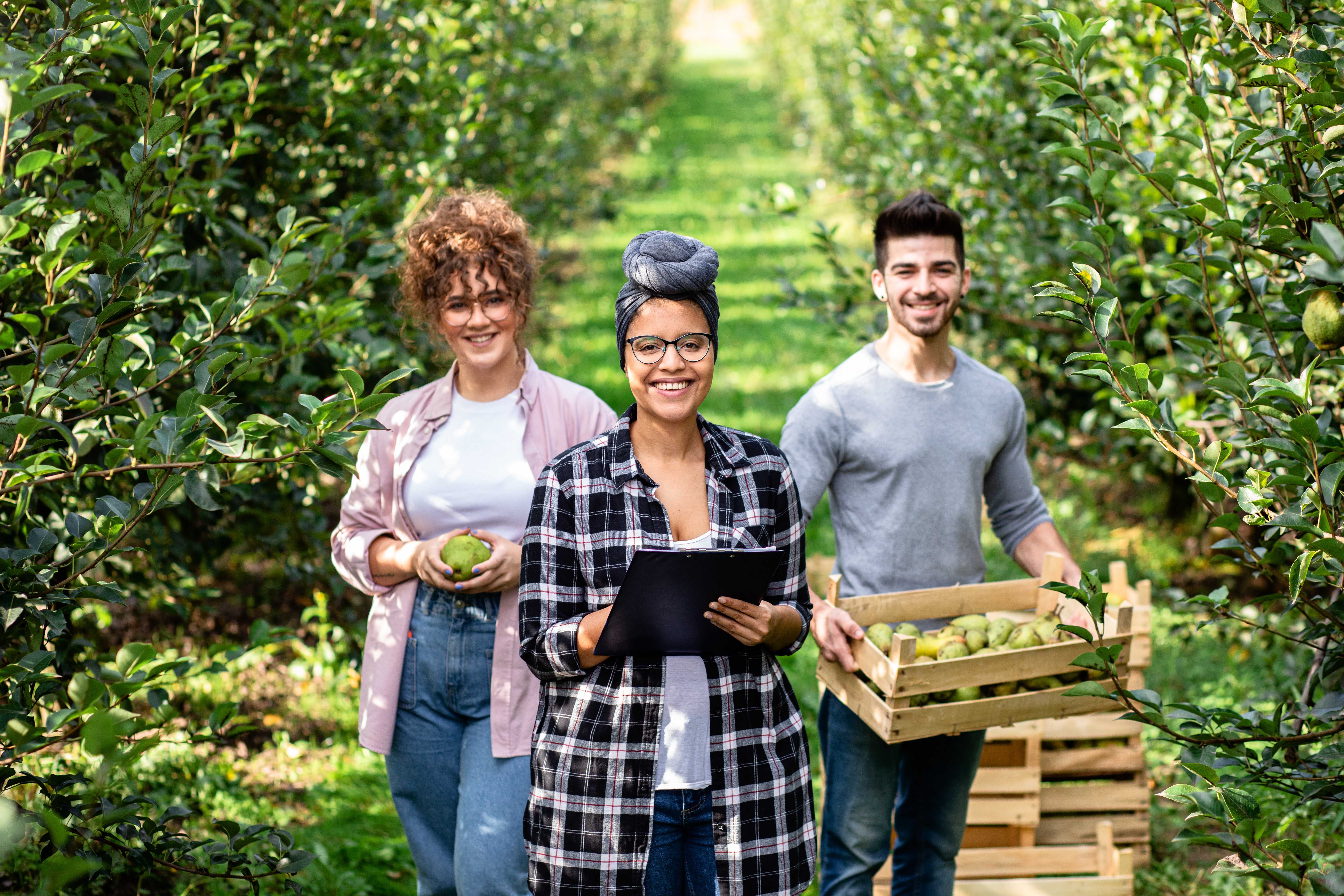 Tracciabilità alimentare