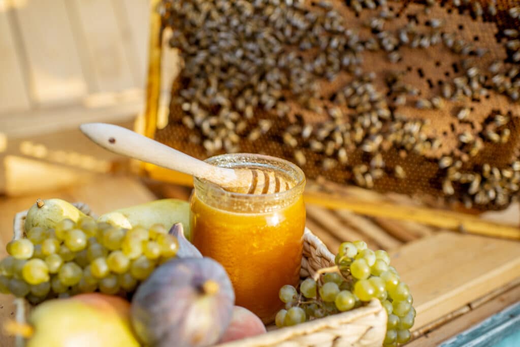 2 Abbeveratoi Per Api - Mangiatoie Per Alveari Con Bottiglia, Attrezzatura Apicoltura, Plastica Resistente