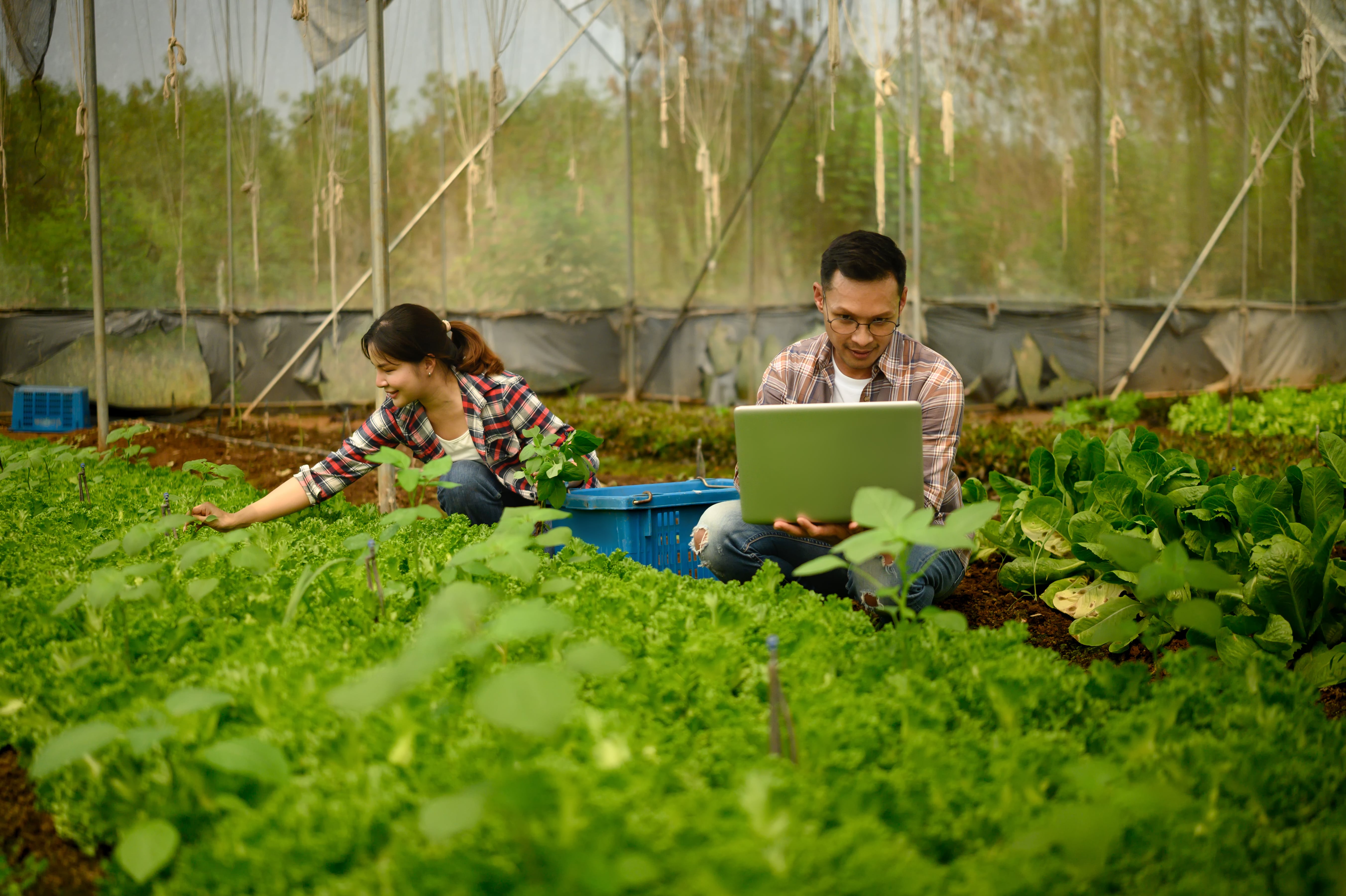 Agricoltura 4.0